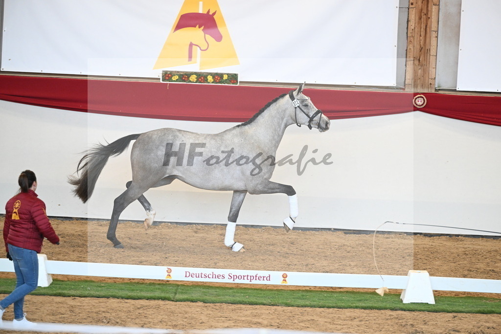 Kat.-Nr. 72 v. Johnson_Lehner_2250617 | hf-fotografie - Realisiert mit Pictrs.com