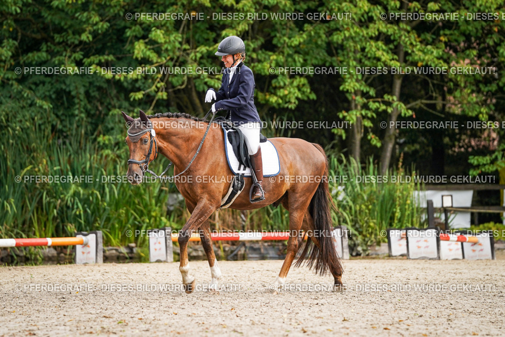 DSC00436 | Pferdegrafie