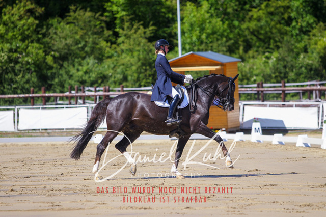 DKP42312 | Turniersportfotografie; Pferdefotografie; Dressurfotografie