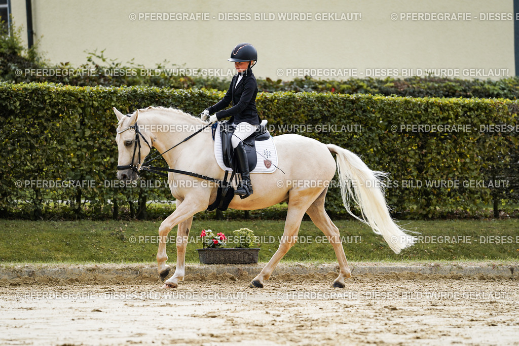 DSC05584 | Pferdegrafie