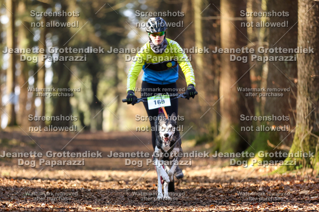 Dog Paparazzi - VCC26-895 | Dog Paparazzi Jeanette Grottendiek Fotografie & Videografie - Realisiert mit Pictrs.com
