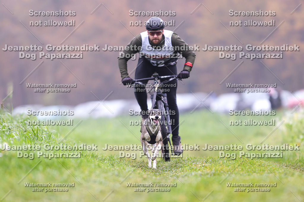 Dog Paparazzi - Visbeck 25 -212 | Dog Paparazzi Jeanette Grottendiek Fotografie & Videografie - Realisiert mit Pictrs.com