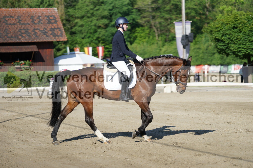 DSC04080 | equestrian-live-com
