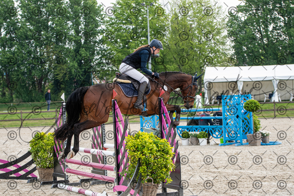 KPT_1944 | andre_photographic