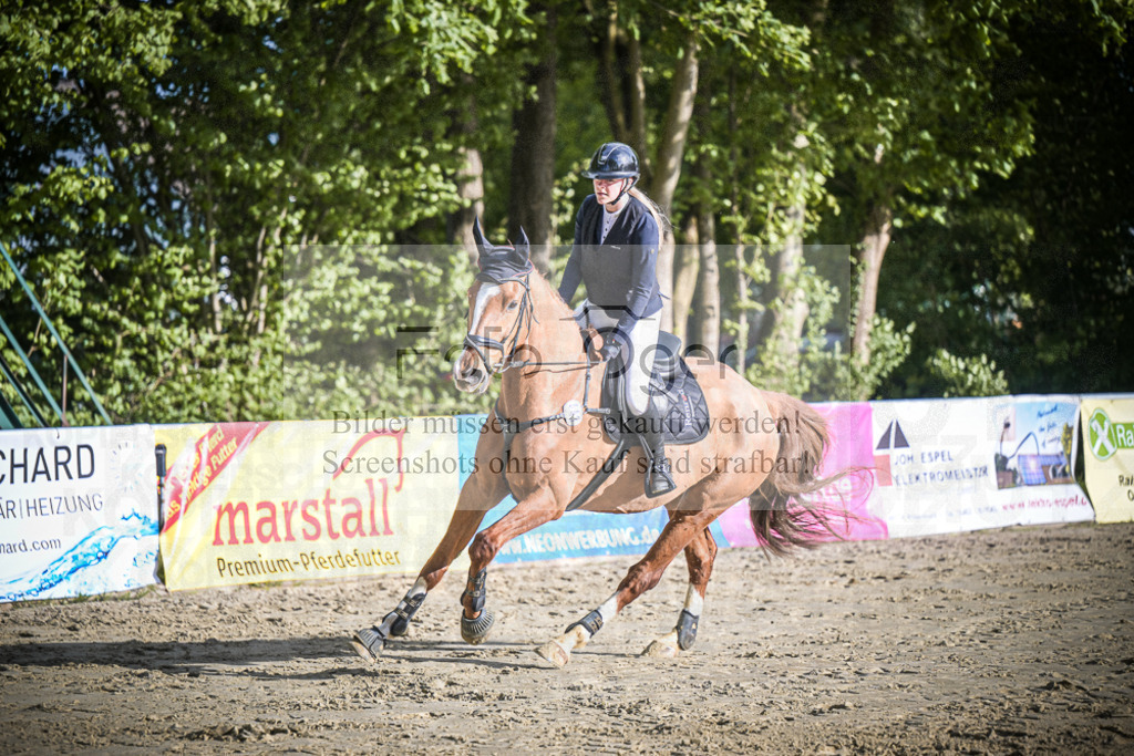 DOS_3517 | Entdecke hochwertige Reitturnierfotos von Foto Oger. Professionell, emotional und authentisch – jetzt Lieblingsmomente im Shop bestellen.Deutschlandweite Turnierfotografie. - Realisiert mit Pictrs.com