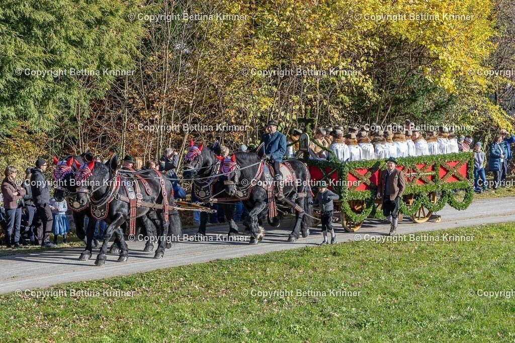 LBT25-393 | foto-bettina-krinner - Realisiert mit Pictrs.com