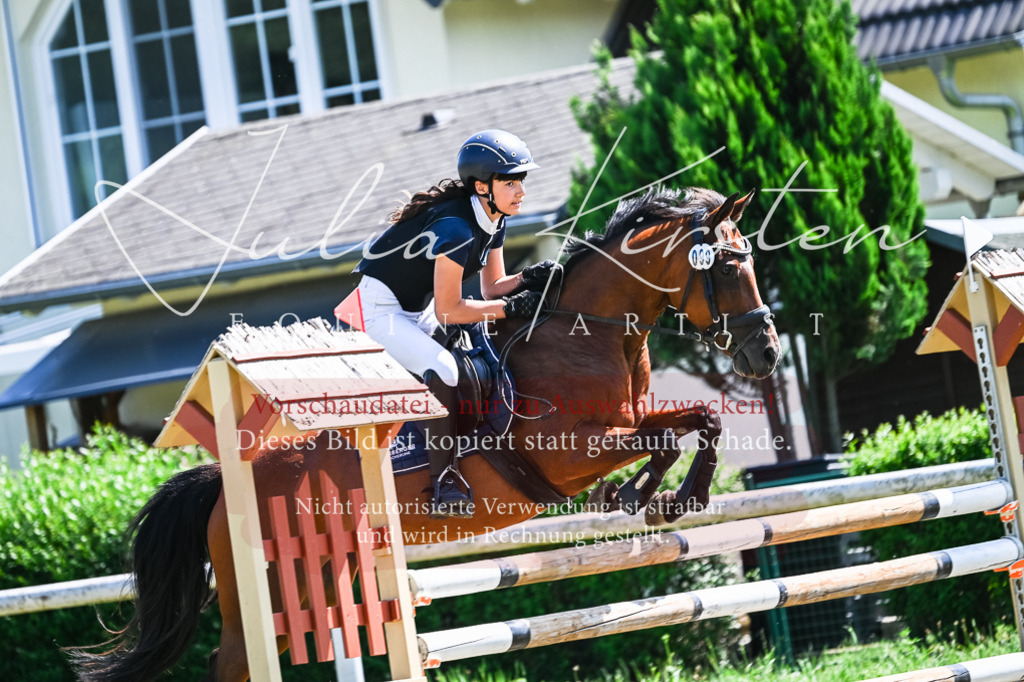 DSC_0918 | Pferde- und Turnierfotografie in Westsachsen. Pferdeportraits, Auftragszeichnungen und intuitive Kunst.