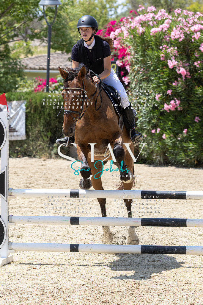 IMG_1360 | s-jay-photography - Realisiert mit Pictrs.com