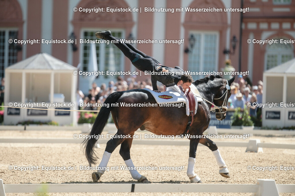 20230528_Voltigieren_NASPA_0123 | equistock