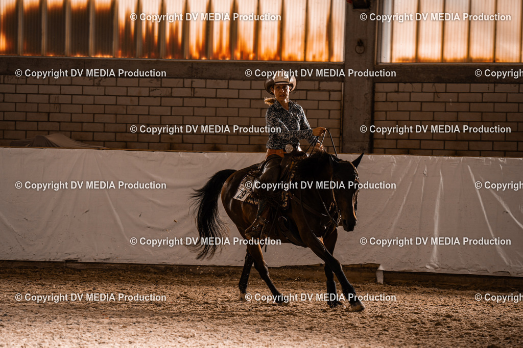 ZH300356 | dv-media-shop - Realisiert mit Pictrs.com