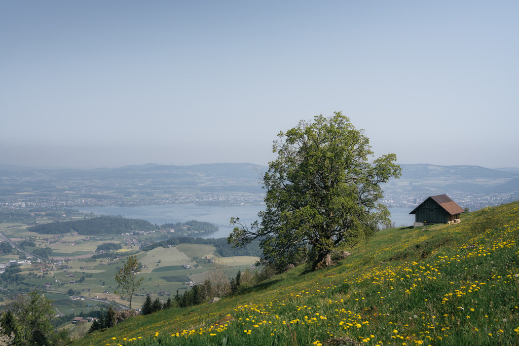 Zugersee Blick | Seebodenalp - Realisiert mit Pictrs.com