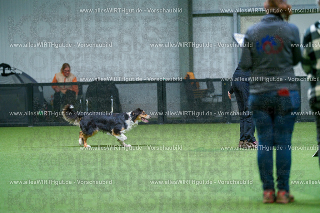 7R502036 | Professionelle Tierfotografie in Mönchengladbach von Daniel Wirth (allesWIRTHgut). Liebevolle & natürliche Bilder von Hunden & Katzen für unvergessliche Erinnerungen.