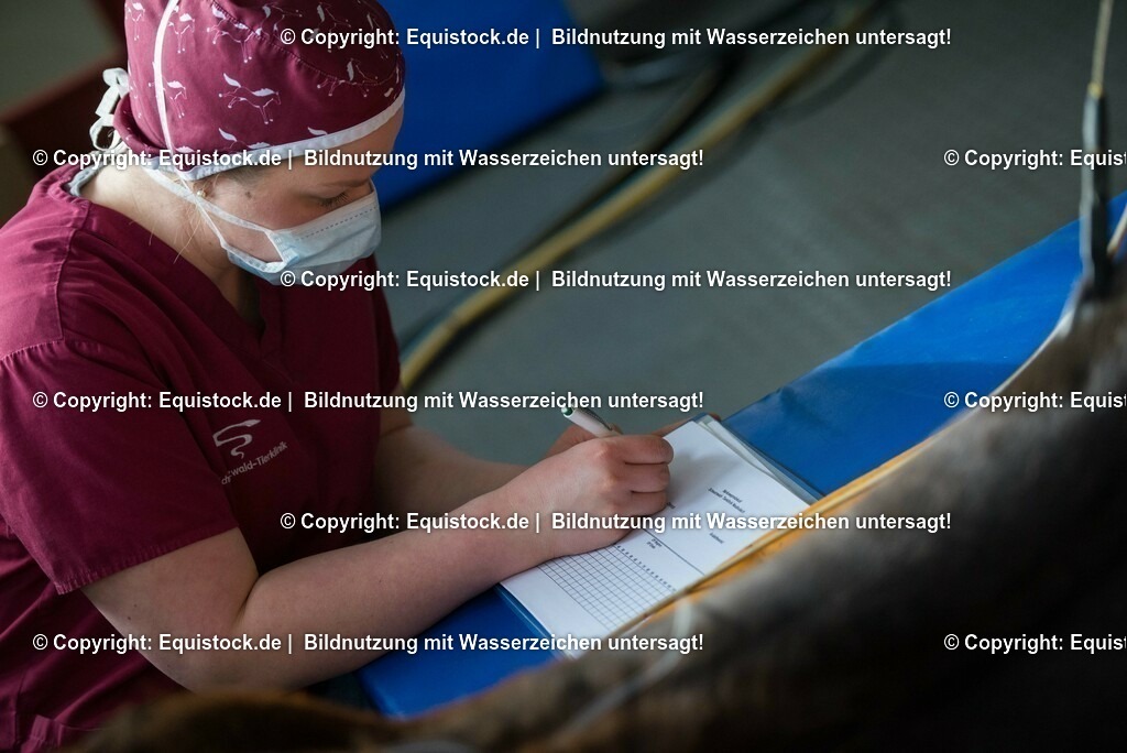 20160315_Arthroskopie_0009 | equistock