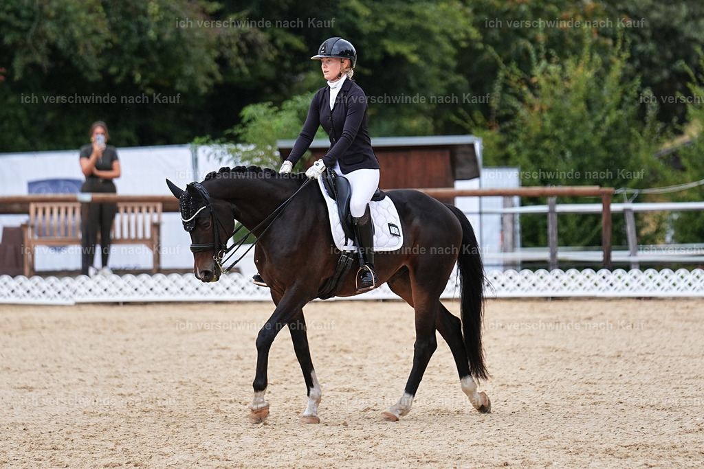 3-104-Dressur M_-Marixx-1969 | working equitationturnier fotograf videograf stoibphotography marixx film working equitation deutschland reitsport turnierfotografie eventfotografie equestrian events