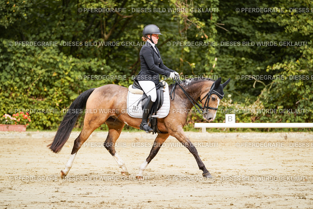 DSC02665 | Pferdegrafie