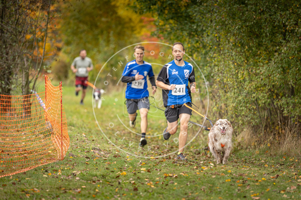 Pfotenfotografie_DV3A4293 | Hundefotografie, Tierfotograf, Pfotenfotografie, Fotoshooting Hund, Hunde Portrait, Hundesport, Hundeportraits, Heideshooting, Hunde, Sportfotograf, Hundefotograf, Turnierhundsport, THS,  - Realisiert mit Pictrs.com