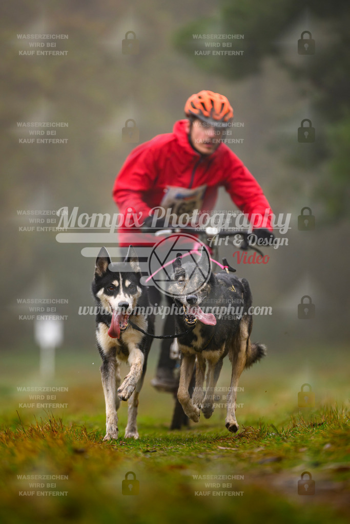 MompixPhotography_Bischwiller2025_Scooter-9 | mompixphotography