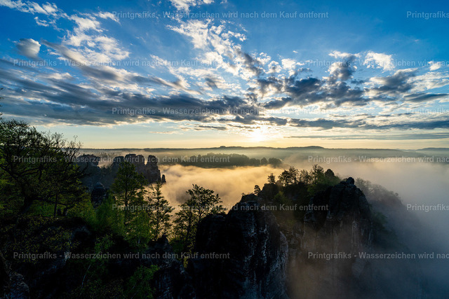 Morgennebel über dem Elbsandstein | Weite Aussicht über eine neblige Felslandschaft im ersten Morgenlicht. Die dunklen Silhouetten der Bäume, der aufsteigende Nebel und der strukturierte Himmel schaffen eine ruhige, eindrucksvolle Naturstimmung. - Realisiert mit Pictrs.com