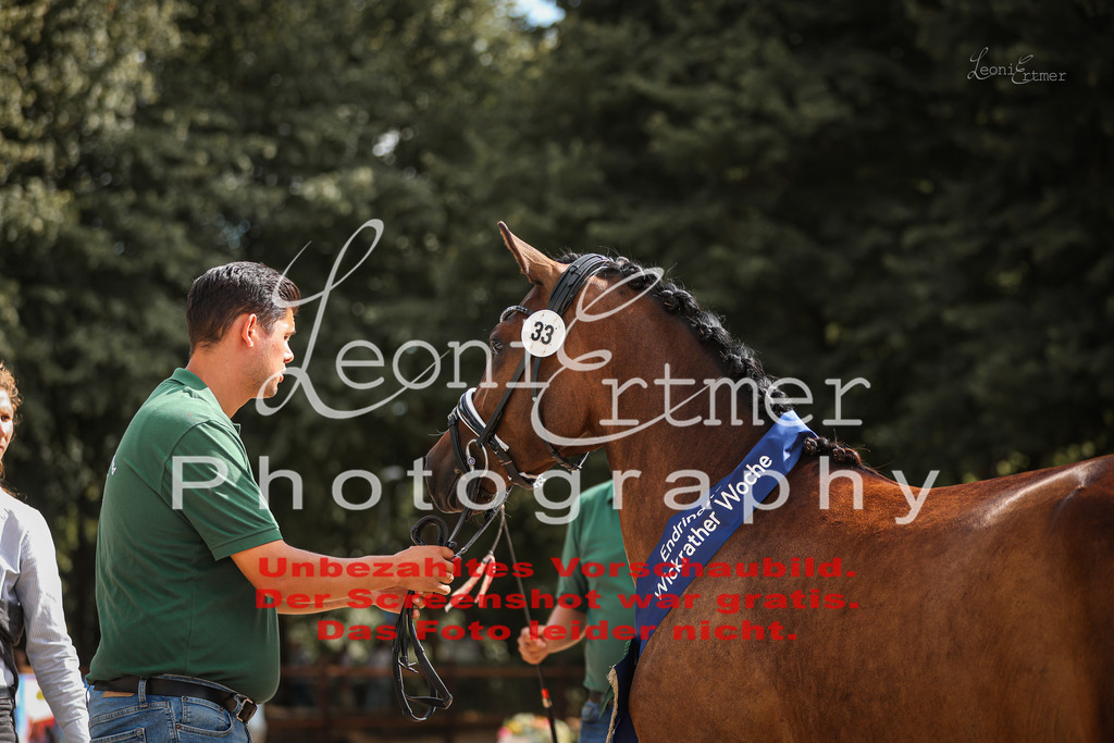 SoER00081 | Leoni Ertmer Photography - Realisiert mit Pictrs.com