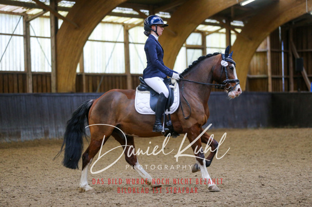 IMG_0697 | Turniersportfotografie; Pferdefotografie; Dressurfotografie