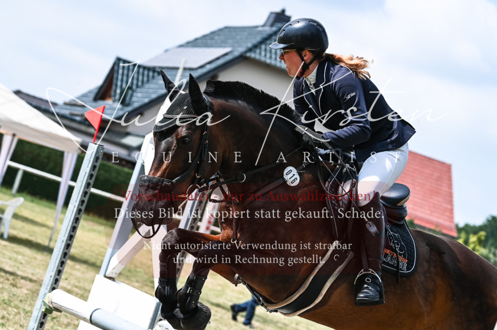 DSC_8870 | Pferde- und Turnierfotografie in Westsachsen. Pferdeportraits, Auftragszeichnungen und intuitive Kunst.