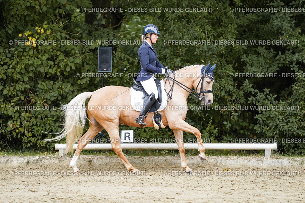 DSC04861 | Pferdegrafie