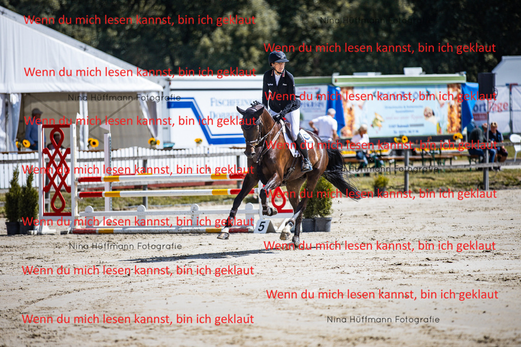 BK1A5021 | Turnierbilder Turnierfotos Nina Hüffmann Turnierfotografie Pferdefotografie Tierzeichnung Haustierzeichnung Pferdezeichnung Hundezeichnung Videograf  - Realisiert mit Pictrs.com