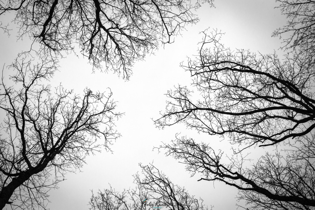 003_minimalism | Fotografie Felix Kanitzer  - Realisiert mit Pictrs.com