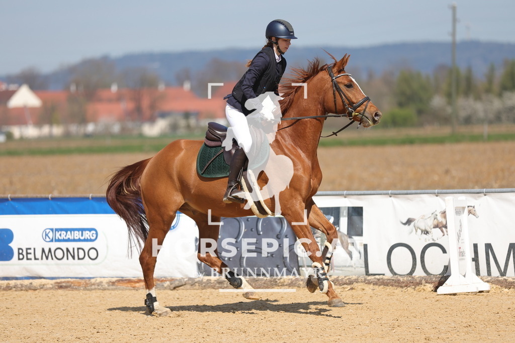 0P6A0541 | Willkommen bei Brunnmayr - Design & Fotografie – Ihrem Spezialisten für Reitturniere und Pferdeveranstaltungen in Oberösterreich, Salzburg und Bayern! Seit über 17 Jahren sind wir leidenschaftlich dabei.
