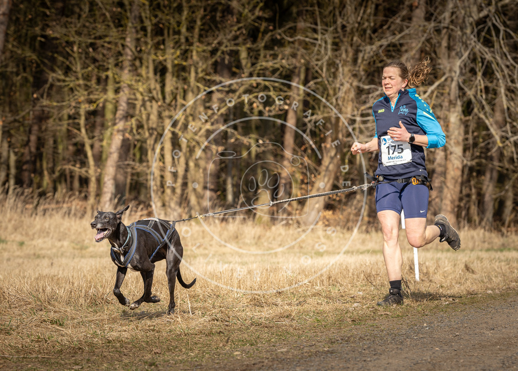 DV3A5642 | Hundefotografie, Tierfotograf, Pfotenfotografie, Fotoshooting Hund, Hunde Portrait, Hundesport, Hundeportraits, Heideshooting, Hunde, Sportfotograf, Hundefotograf, Turnierhundsport, THS,  - Realisiert mit Pictrs.com