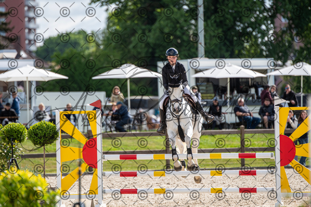 KPT_4826 | andre_photographic