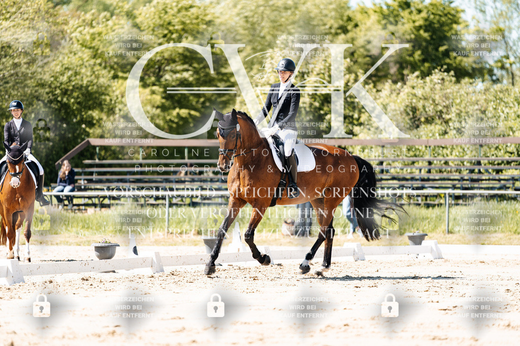 CK905196 | Turnierfotografie Pferdefotografie Trier Rheinland-Pfalz Pferdesport Reitsport Tierfotografie Sportfotografie Pferdevideo Pferdevideografie Equestrianvideography equestrianphotography  - Realisiert mit Pictrs.com