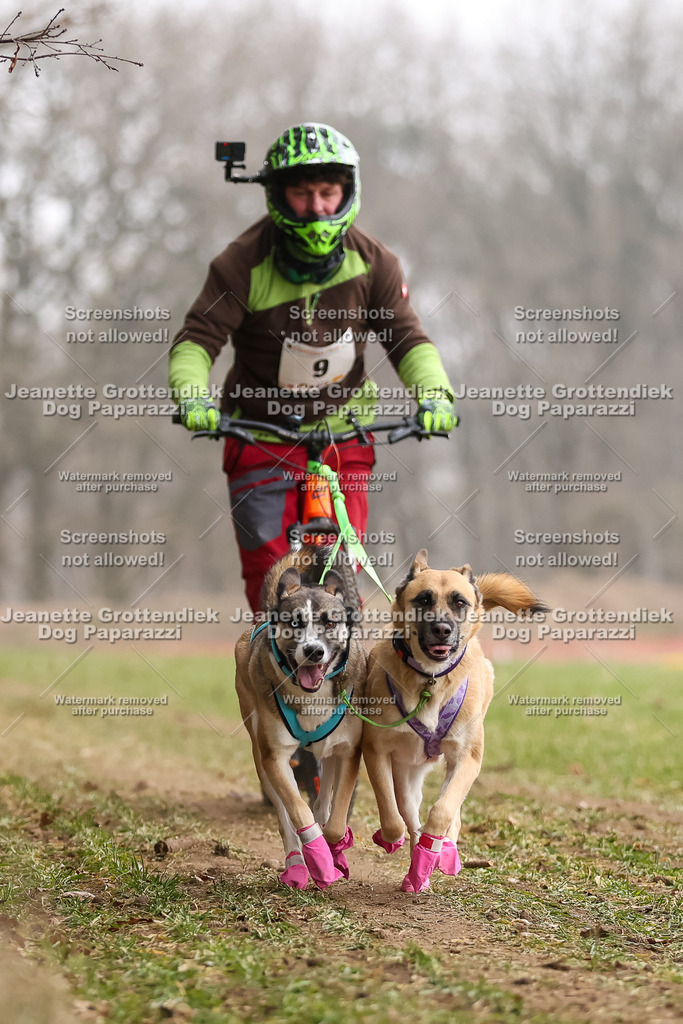 Dog Paparazzi - Plate 2026-33 | Dog Paparazzi Jeanette Grottendiek Fotografie & Videografie - Realisiert mit Pictrs.com