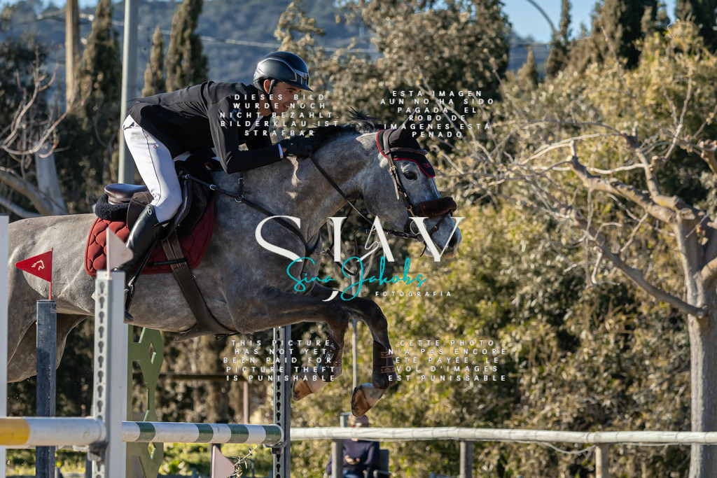 IMG_2040 | s-jay-photography - Realisiert mit Pictrs.com