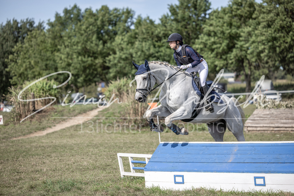 20250907-_3LI9845 | Tierfotografie Pferde, Hunde, Katzen, Haustiere.
Turnierfotografie Reitturniere, Reiten, Springreiten, Dressur in Hanau, dem Main-Kinzig-Kreis und dem Rhein-Main- Gebiet um Frankfurt