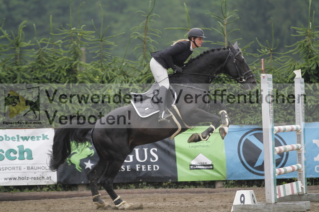 _MG_6657 | equestrian-live-com