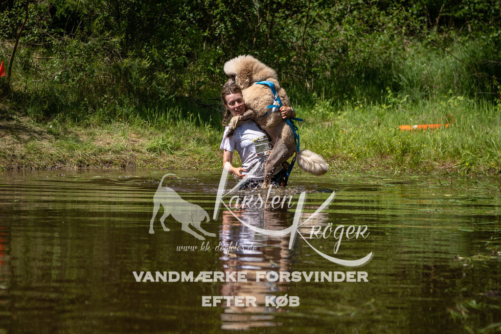 DK K990903141408 | kk-dogfotos