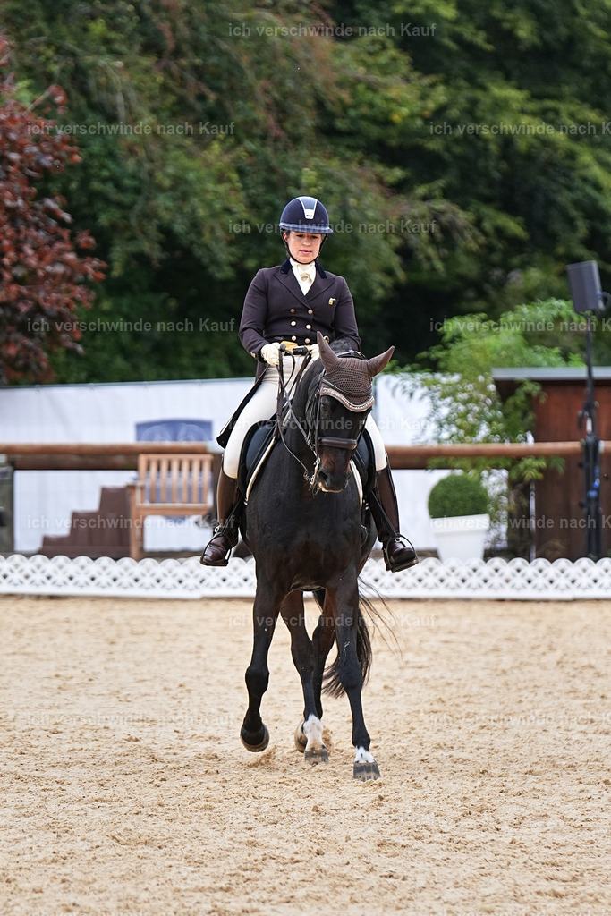 11-191-Dressur S___-Marixx-1795 | working equitationturnier fotograf videograf stoibphotography marixx film working equitation deutschland reitsport turnierfotografie eventfotografie equestrian events