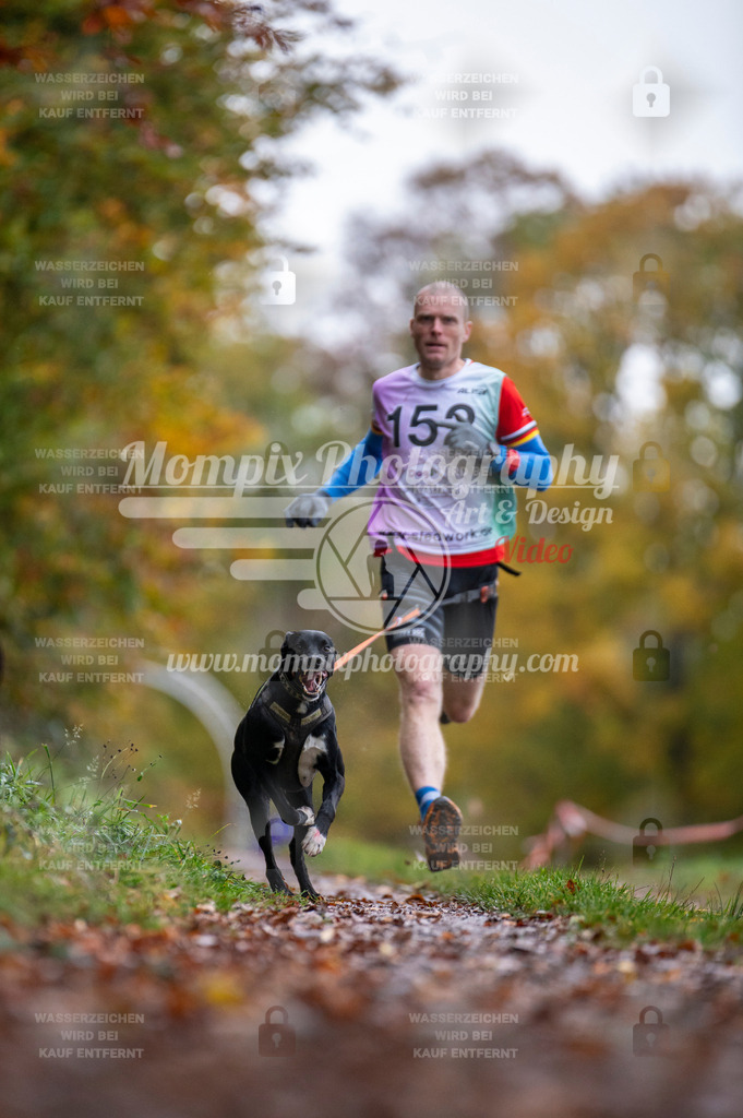 DBT_DAKM_SA_4_11_2023_Canicross-43 | PayLife