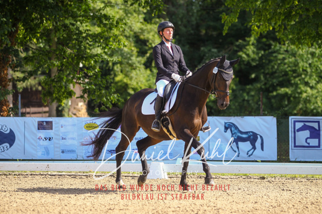 DKP42920 | Turniersportfotografie; Pferdefotografie; Dressurfotografie