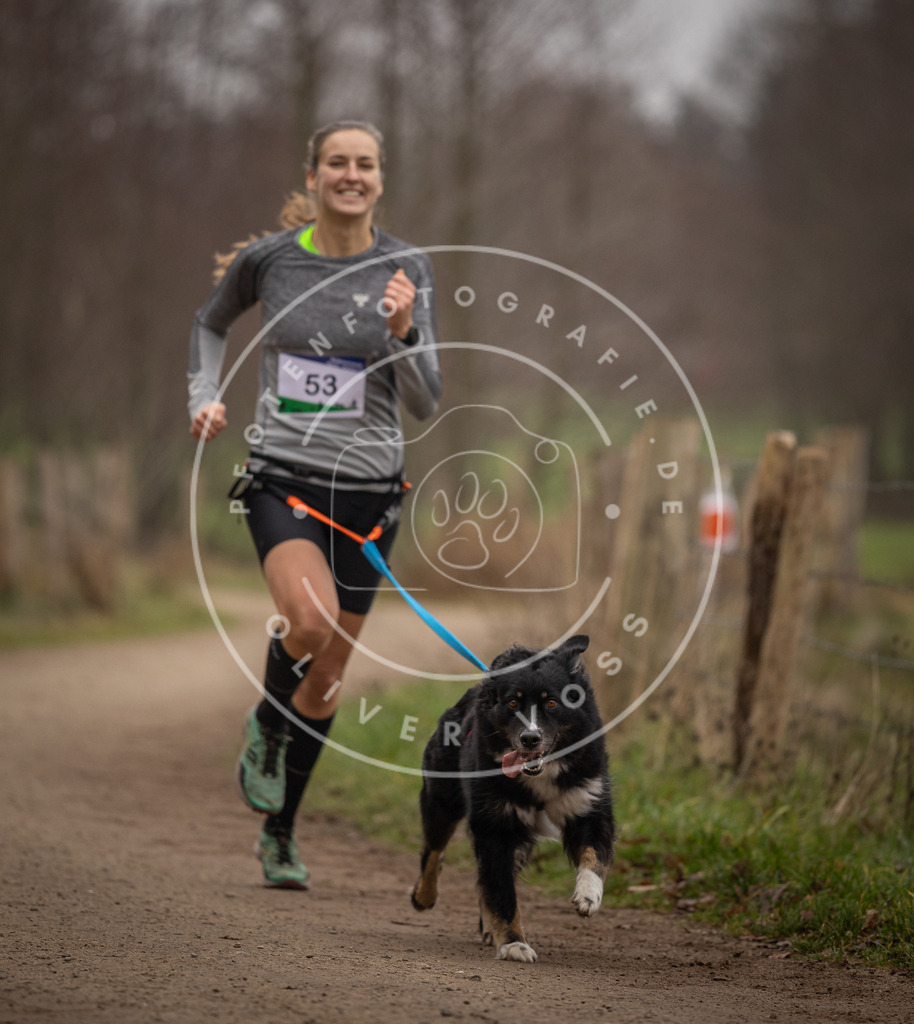 Pfotenfotografie_DV3A2929 | Hundefotografie, Tierfotograf, Pfotenfotografie, Fotoshooting Hund, Hunde Portrait, Hundesport, Hundeportraits, Heideshooting, Hunde, Sportfotograf, Hundefotograf, Turnierhundsport, THS,  - Realisiert mit Pictrs.com