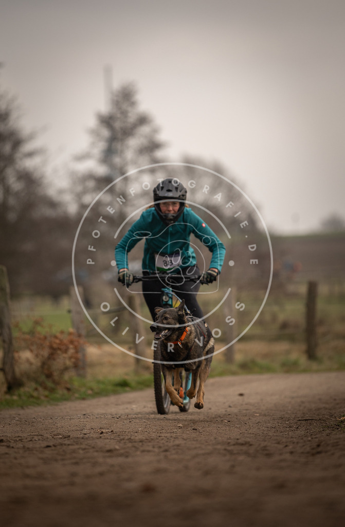 Pfotenfotografie_DV3A4155 | Hundefotografie, Tierfotograf, Pfotenfotografie, Fotoshooting Hund, Hunde Portrait, Hundesport, Hundeportraits, Heideshooting, Hunde, Sportfotograf, Hundefotograf, Turnierhundsport, THS,  - Realisiert mit Pictrs.com