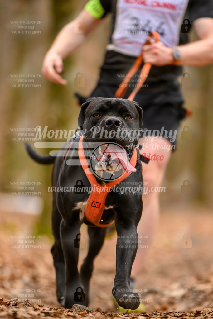 MompixPhotography_Habay2025_SA_CCC-293 | PayLife