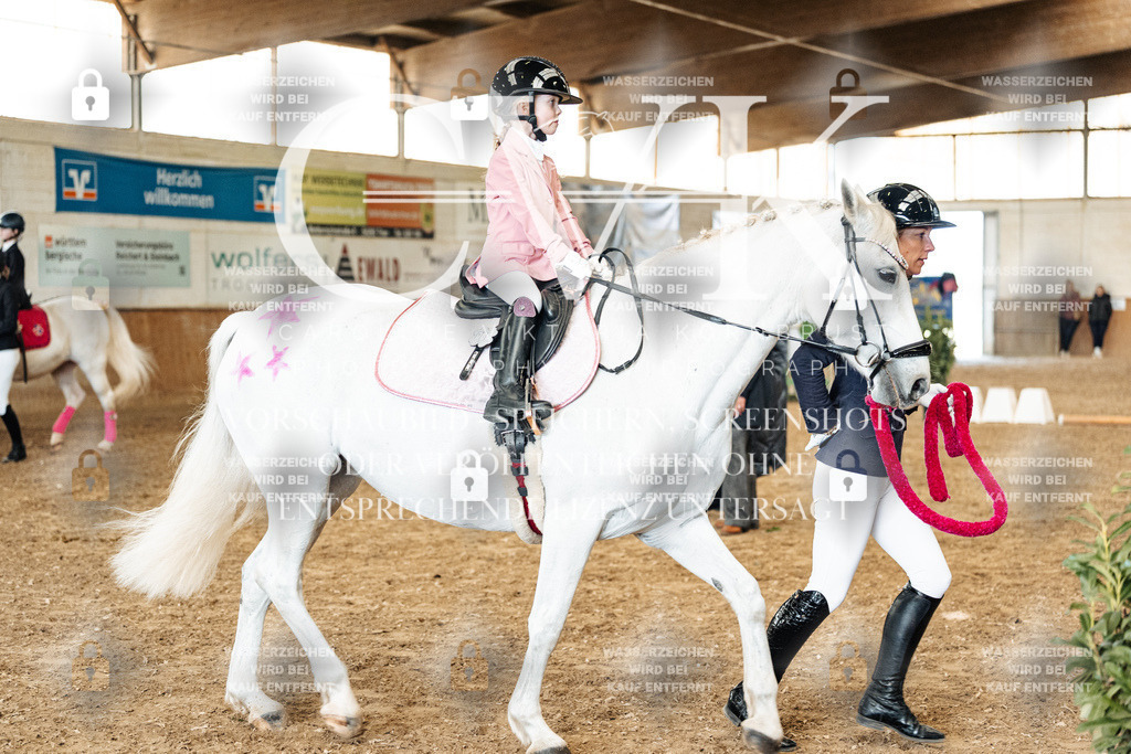 CK905993 | Turnierfotografie Pferdefotografie Trier Rheinland-Pfalz Pferdesport Reitsport Tierfotografie Sportfotografie Pferdevideo Pferdevideografie Equestrianvideography equestrianphotography  - Realized with Pictrs.com