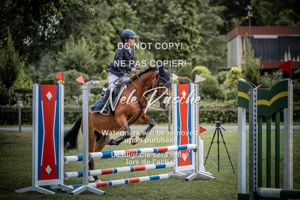nelerasche_StilSpr60Ede_11 | nelerasche