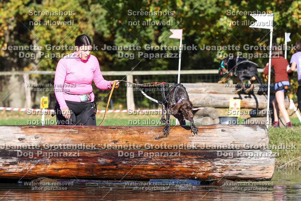 Dog Paparazzi - Strongdog 10-25-8917 | Dog Paparazzi Jeanette Grottendiek Fotografie & Videografie - Realisiert mit Pictrs.com