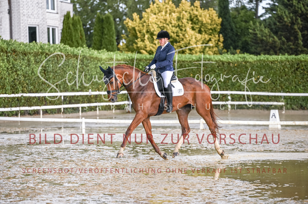 Schugtsche-Aluta25-54.Dressurprf.L1Trense-38 | Schugtsche Fotografie - Realizzato con Pictrs.com