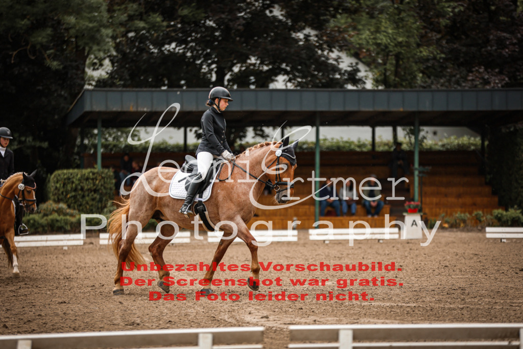 4.DoDrE00162 | Leoni Ertmer Photography - Realisiert mit Pictrs.com