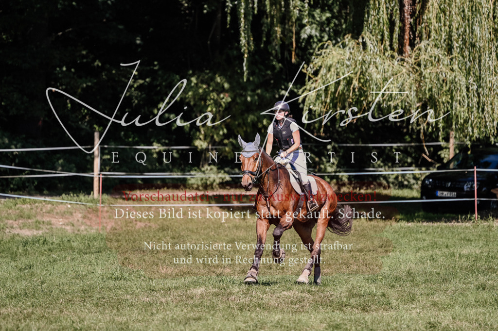 DSC_2709 | Pferde- und Turnierfotografie in Westsachsen. Pferdeportraits, Auftragszeichnungen und intuitive Kunst.