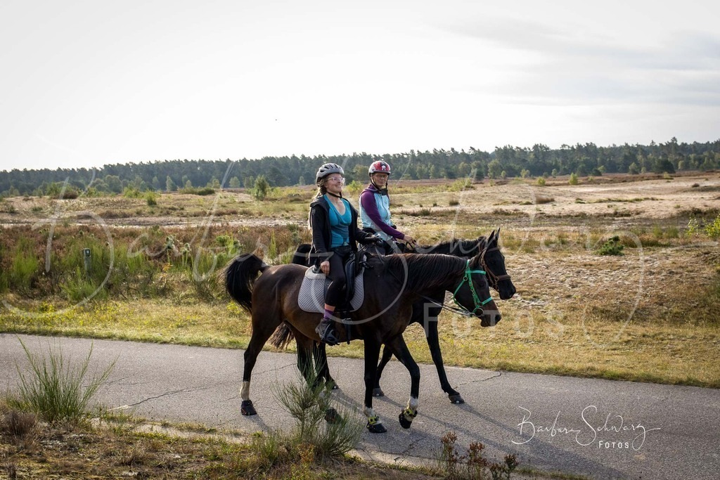 DdLH-TrotBy_2025-09-20_36 | Fotografie, Veranstaltungs-Fotografie, Pferde-Fotografie, Landschafts-Fotografie, Reise-Fotografie - Realisiert mit Pictrs.com